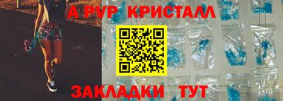 гидра Кингисепп