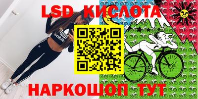 гидра Кингисепп