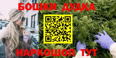 гидра Кингисепп