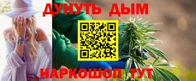 гидра Кингисепп