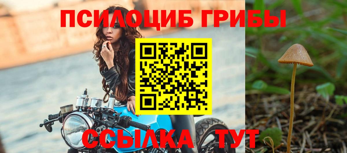 Грозный  Галлюциногенные грибы GOLDEN TEACHER  купить  цена  Вход с VPN 